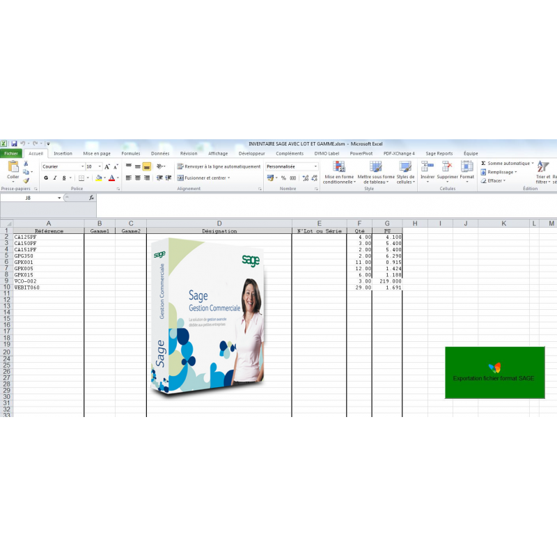 SAGE 100 : Import d'inventaire à partir d'un fichier Excel - Module Sage Gratuit